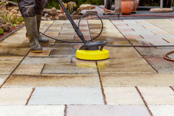 Best Playground Equipment Cleaning  in Vamo, FL